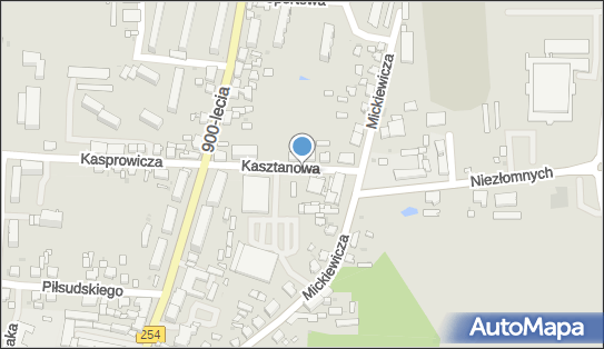 Allegro One Box Automaty, Kasztanowa 15/1, Mogilno 88-300, godziny otwarcia