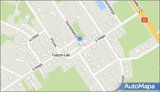 Allegro One Box Automaty, 3 Maja 17, Tuszyn 95-080, godziny otwarcia