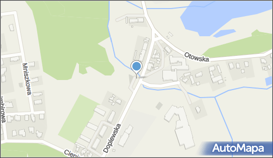 Allegro One Box Automaty, Dopiewska 8b, Lusówko 62-080, godziny otwarcia