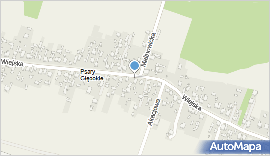 Allegro One Box Automaty, Wiejska 51a, Psary 42-512, godziny otwarcia