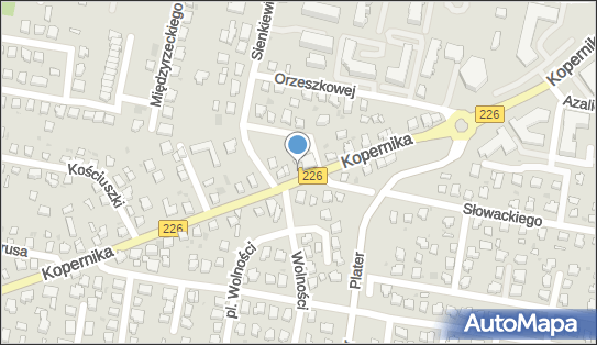 Allegro One Box Automaty, Mikołaja Kopernika 39, Pruszcz Gdański 83-000, godziny otwarcia