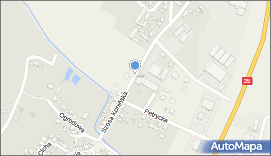 Allegro One Box Automaty, Szosa Konińska 2, Stawiszyn 62-820, godziny otwarcia