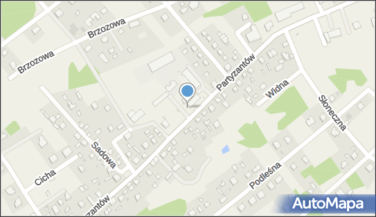 Allegro One Box Automaty, Partyzantów 24, Leoncin 05-155, godziny otwarcia