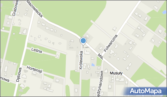 Allegro One Box Automaty, Mazowiecka 49, Wycinki Osowskie 96-321, godziny otwarcia