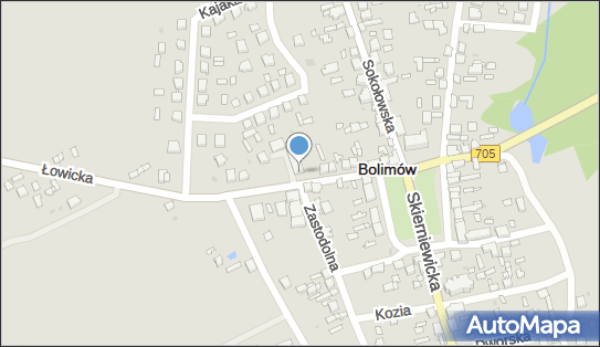 Allegro One Box Automaty, Łowicka 10a, Bolimów 99-417, godziny otwarcia