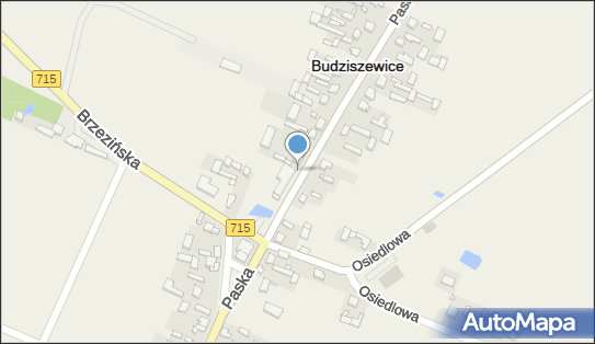 Allegro One Box Automaty, Jana Chryzostoma Paska 62, Budziszewice 97-212, godziny otwarcia