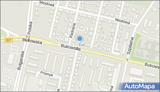 Allegro One Box Automaty, Bukowska 119, Poznań 60-567, godziny otwarcia