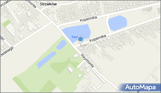 Allegro One Box Automaty, Kopernika 2, Strzałków 97-500, godziny otwarcia