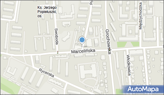 Allegro One Box Automaty, Marcelińska 77, Poznań 60-341, godziny otwarcia