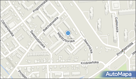 Allegro One Box Automaty, Międzyborska 2, Poznań 60-162, godziny otwarcia