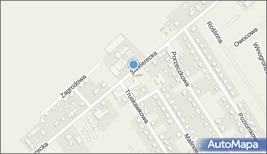 Allegro One Box Automaty, Siekierecka 24B, Gowarzewo 63-004, godziny otwarcia