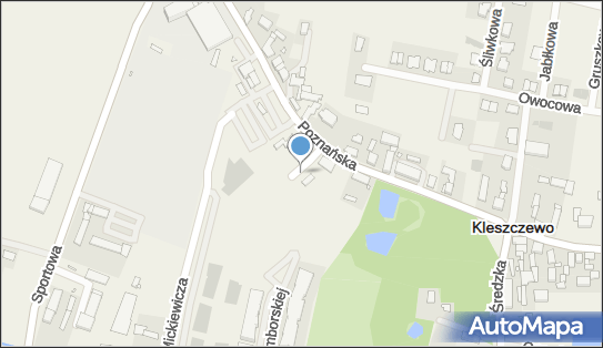 Allegro One Box Automaty, Poznańska 10, Kleszczewo 63-005, godziny otwarcia