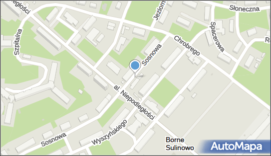 Allegro One Box Automaty, Sosnowa 4, Borne Sulinowo 78-449, godziny otwarcia