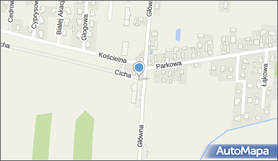 Allegro One Box Automaty, Główna 35, Ustanów 05-540, godziny otwarcia