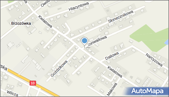 Allegro One Box Automaty, Kwiatowa 9, Głogowo 87-123, godziny otwarcia