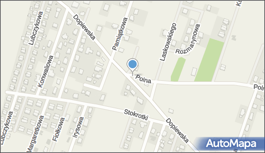 Allegro One Box Automaty, Dopiewska 38, Gołuski 62-070, godziny otwarcia