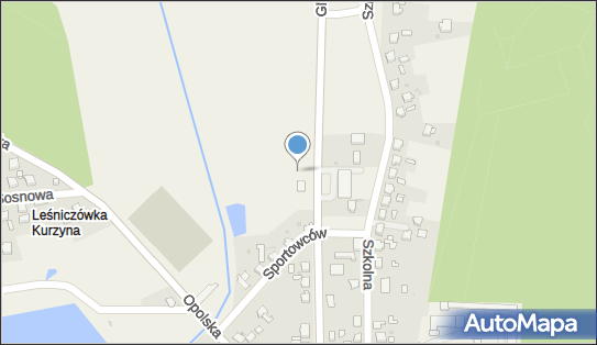 Allegro One Box Automaty, Gliwicka 91, Rudziniec 44-160, godziny otwarcia