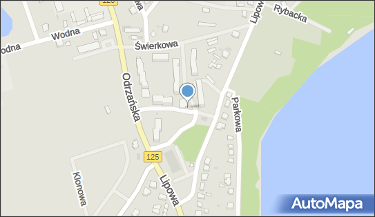 Allegro One Box Automaty, Brzozowa 10, Moryń 74-503, godziny otwarcia