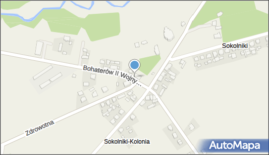 Allegro One Box Automaty, Bohaterów II Wojny Światowej 24 62-306, godziny otwarcia