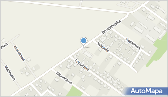 Allegro One Box Automaty, Boszkowska 13, Bucz 64-234, godziny otwarcia