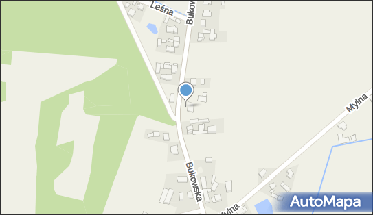 Allegro One Box Automaty, Bukowska 111, Szewce 64-320, godziny otwarcia