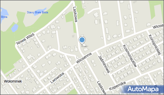 Allegro One Box Automaty, Wiosenna 1E, Wołomin 05-200, godziny otwarcia