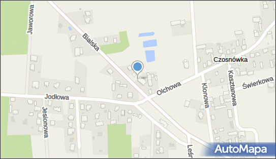 Allegro One Box Automaty, Bialska 95, Czosnówka 21-500, godziny otwarcia