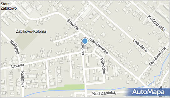 Allegro One Box Automaty, Szkolna 22, Luboń 62-030, godziny otwarcia