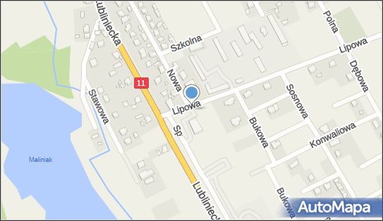 Allegro One Box Automaty, Lipowa 2, Ciasna 42-793, godziny otwarcia