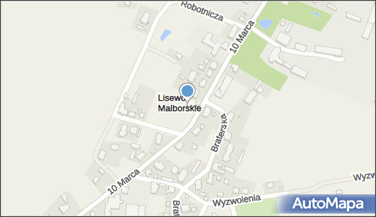 Allegro One Box Automaty, 10 marca 29, Lisewo Malborskie 82-224, godziny otwarcia