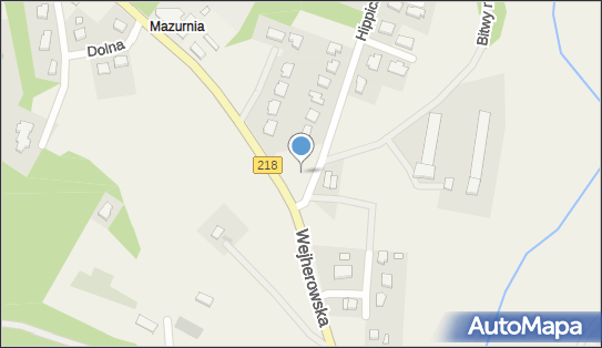 Allegro One Box Automaty, Hippiczna 1, Koleczkowo 84-207, godziny otwarcia