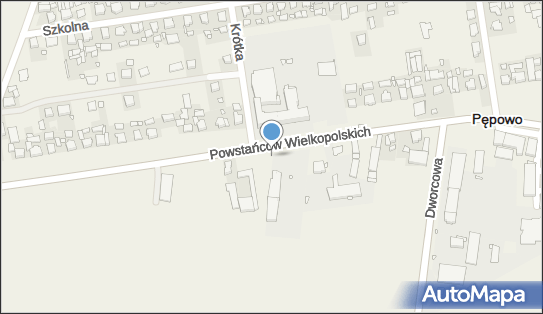 Allegro One Box Automaty, Powstańców Wielkopolskich 45, Pępowo 63-830, godziny otwarcia