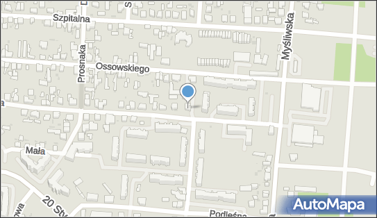 Allegro One Box Automaty, Dolna 42, Pabianice 95-200, godziny otwarcia