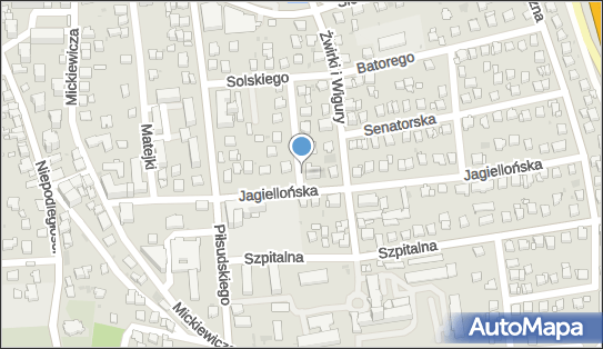 Allegro One Box Automaty, Jagiellońska 11, Myślenice 32-400, godziny otwarcia