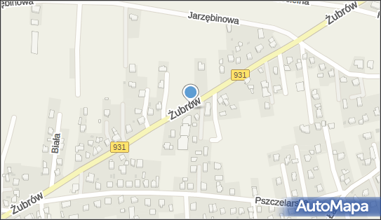 Allegro One Box Automaty, Żubrów 56, Jankowice 43-215, godziny otwarcia