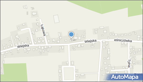 Allegro One Box Automaty, Wiejska 61, Nowa Wieś Tworoska 42-690, godziny otwarcia