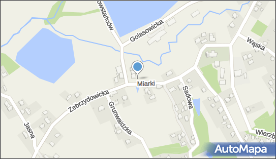 Allegro One Box Automaty, Golasowicka 2, Pielgrzymowice 43-253, godziny otwarcia