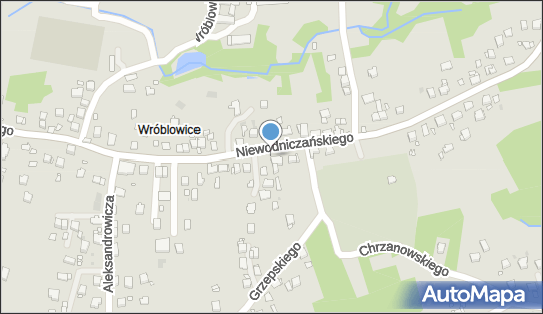 Allegro One Box Automaty, Niewodniczańskiego 102, Kraków 30-698, godziny otwarcia