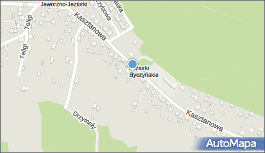 Allegro One Box Automaty, Kasztanowa 34, Jaworzno 43-600, godziny otwarcia