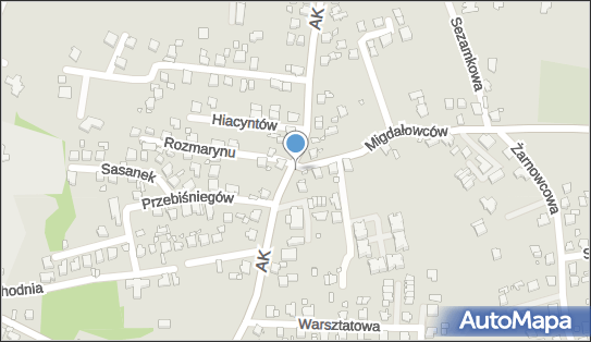 Allegro One Box Automaty, Migdałowców 2, Katowice 40-750, godziny otwarcia