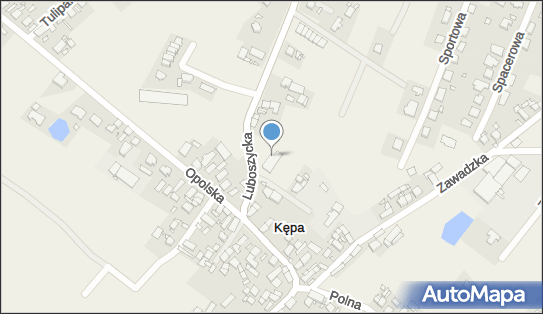 Allegro One Box Automaty, Luboszycka 11a, Kępa 46-022, godziny otwarcia