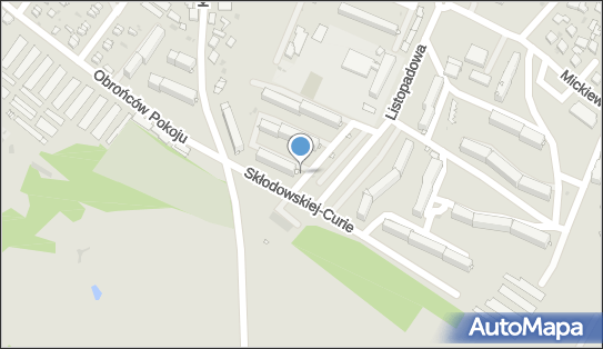 Allegro One Box Automaty, Listopadowa 24, Praszka 46-320, godziny otwarcia