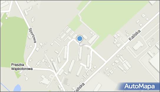 Allegro One Box Automaty, Kopernika 10 D, Praszka 46-320, godziny otwarcia