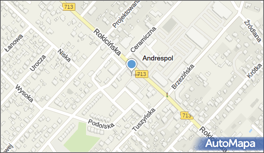 Allegro One Box, zielony automat, Rokicińska 130, Andrespol 95-020, godziny otwarcia