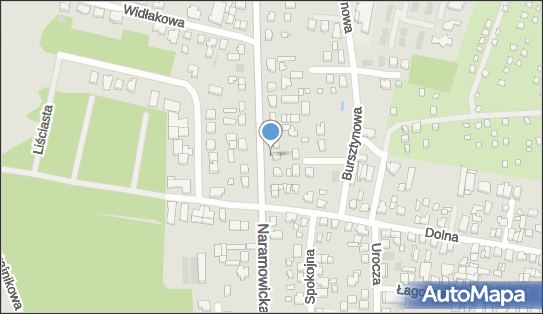 Allegro One Box, zielony automat, Naramowicka 306 a, Poznań 61-601, godziny otwarcia