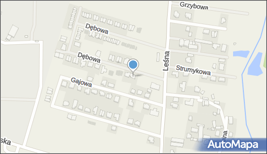 Allegro One Box, zielony automat, Dębowa 1, Tulce 63-004, godziny otwarcia