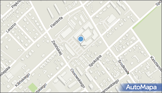 Allegro One Box, zielony automat, Środkowa 96, Żyrardów 96-304, godziny otwarcia