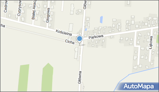 Allegro One Box, zielony automat, Główna 35, Ustanów 05-540, godziny otwarcia