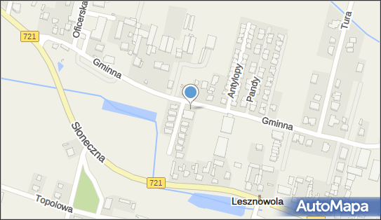 Allegro One Box, zielony automat, Gminna 43, Lesznowola 05-506, godziny otwarcia