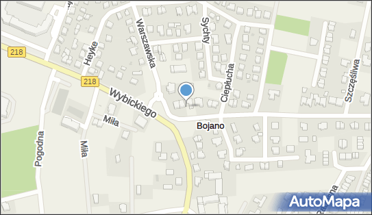 Allegro One Box, zielony automat, Gryfa Pomorskiego 1, Bojano 84-207, godziny otwarcia